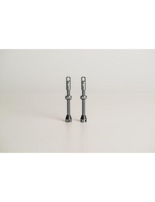 Tizona Component Tubeless Valve